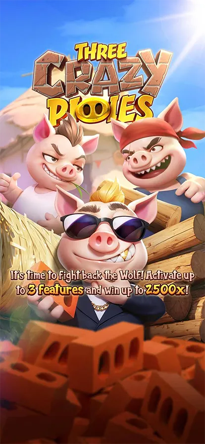 Three Crazy Piggies